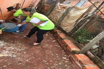 Foto - AÇÕES CONTRA A DENGUE