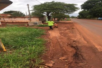 Foto - AÇÕES CONTRA A DENGUE