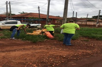 Foto - AÇÕES CONTRA A DENGUE