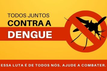 BOLETIM DENGUE 2024