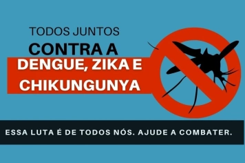 BOLETIM ANUAL DE DENGUE 2025