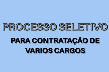 PROCESSO SELETIVO EM RIBEIRAO DO SUL